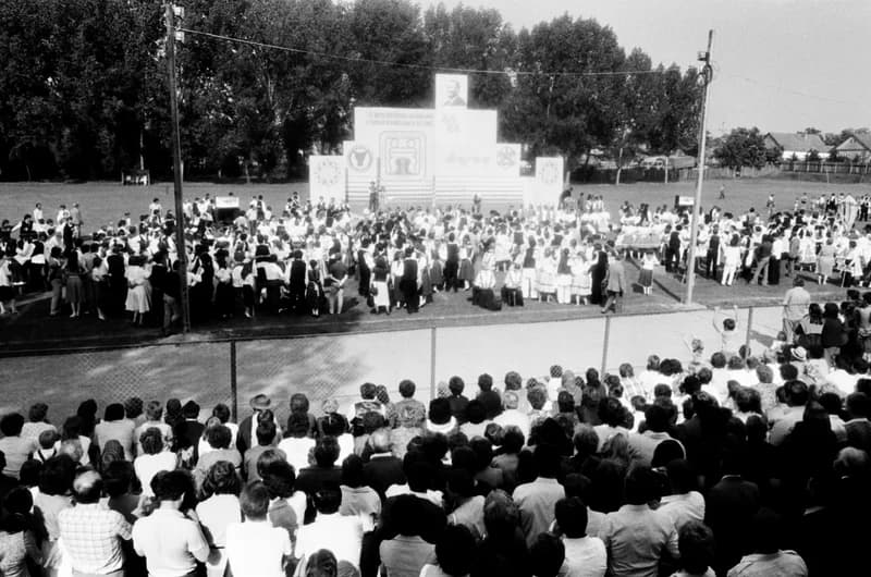 XXI. Gyöngyösbokréta