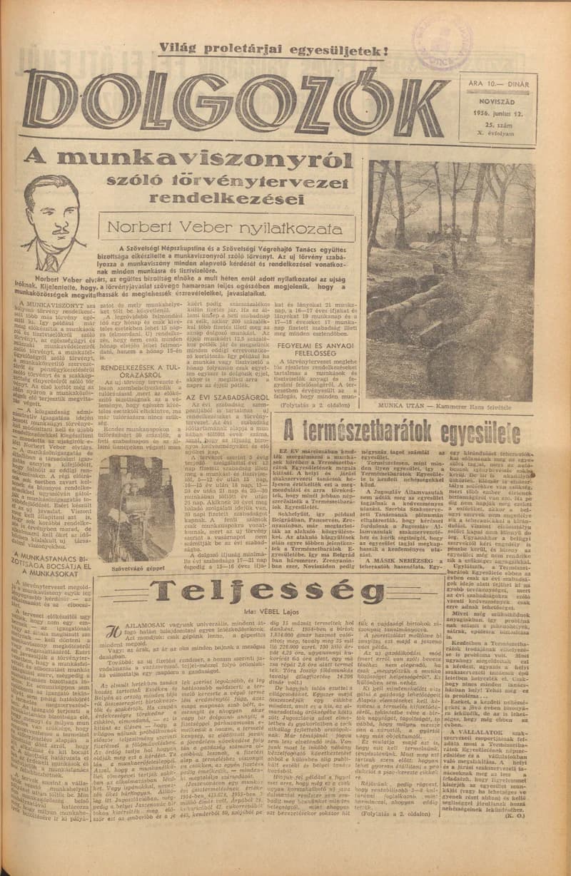 Dolgozók, 10. évf. 1956. június 12. 25. sz.
