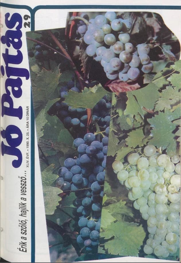 Jó Pajtás, 44. évf. 1990. október 25. 29. sz.