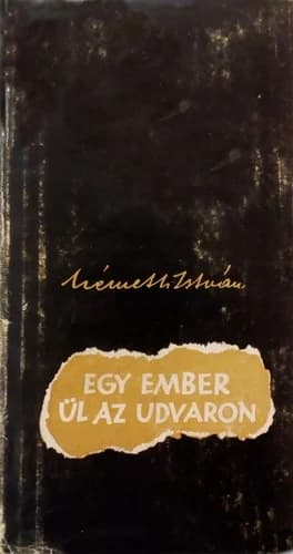 Egy ember ül az udvaron