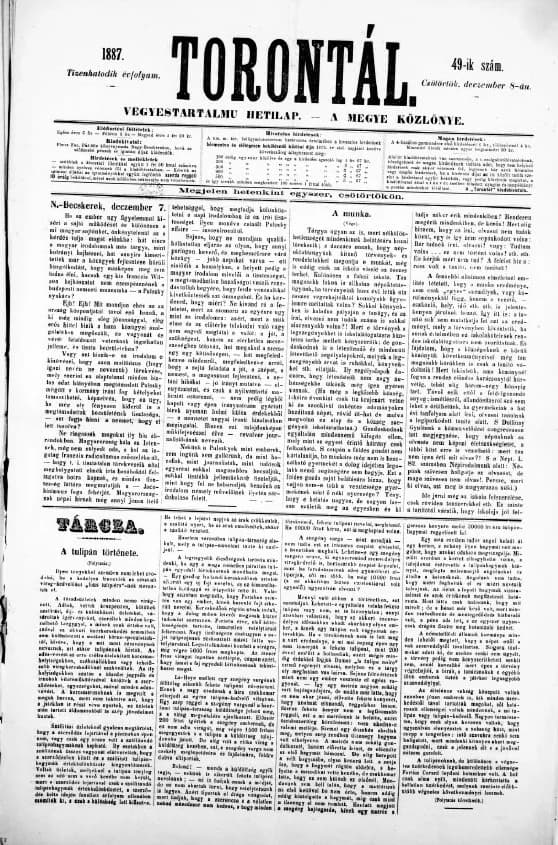 Torontál, 16. évf. 1887. december 8. 49. sz.