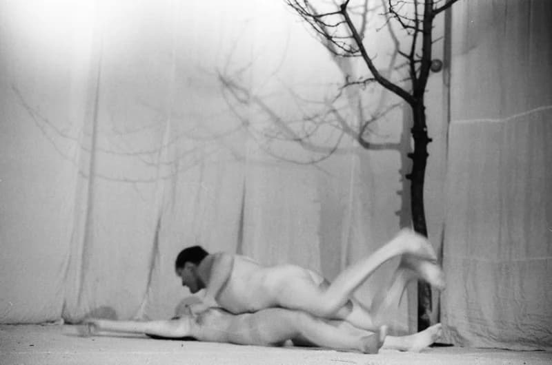 A. Miller: A világ teremtése, Újvidéki Színház bemutató