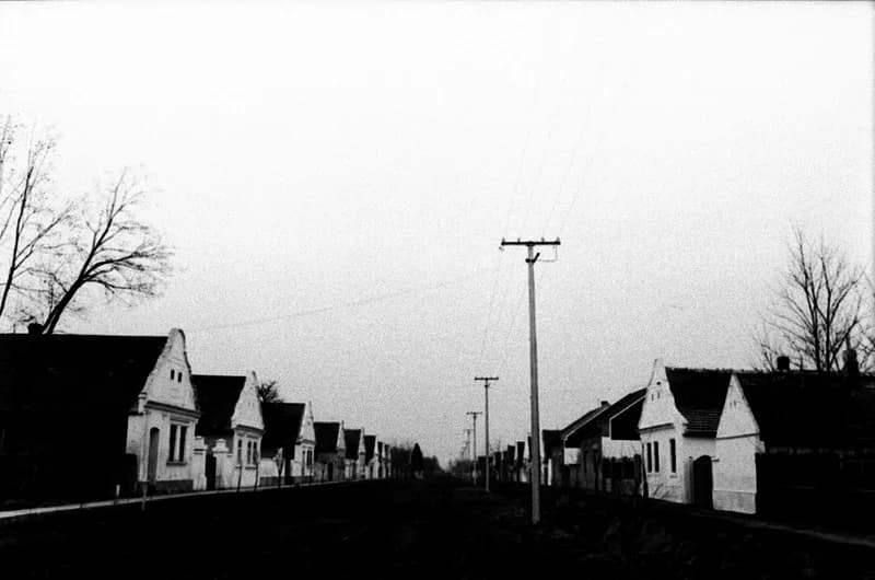 A Bartók Béla Művelődési Egyesületben