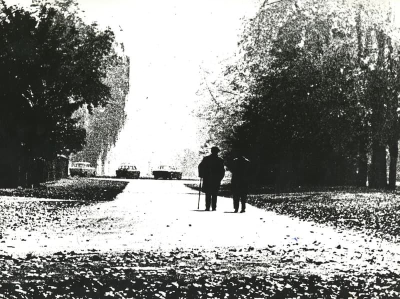 Nyugdíjasok sétája