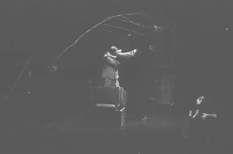 A Párizsi Jel Színház előadása: A hét rinocéroszbőr