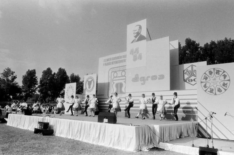 XXI. Gyöngyösbokréta