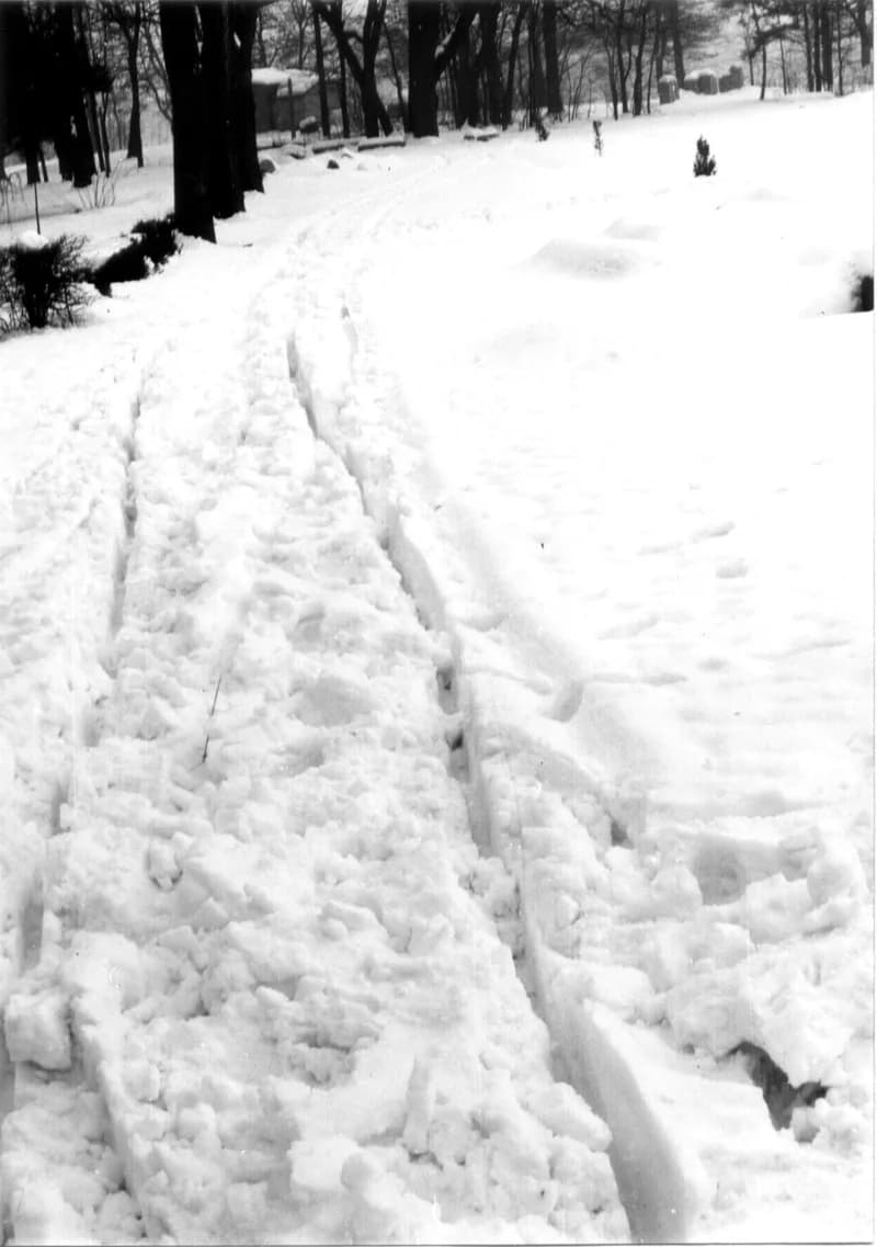 A zentai népkert télen