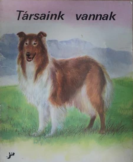 Társaink vannak