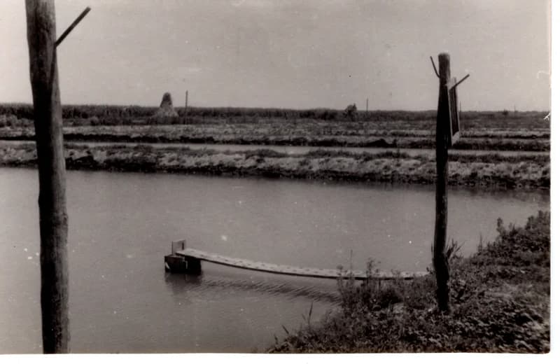 Az écskai halgazdaság