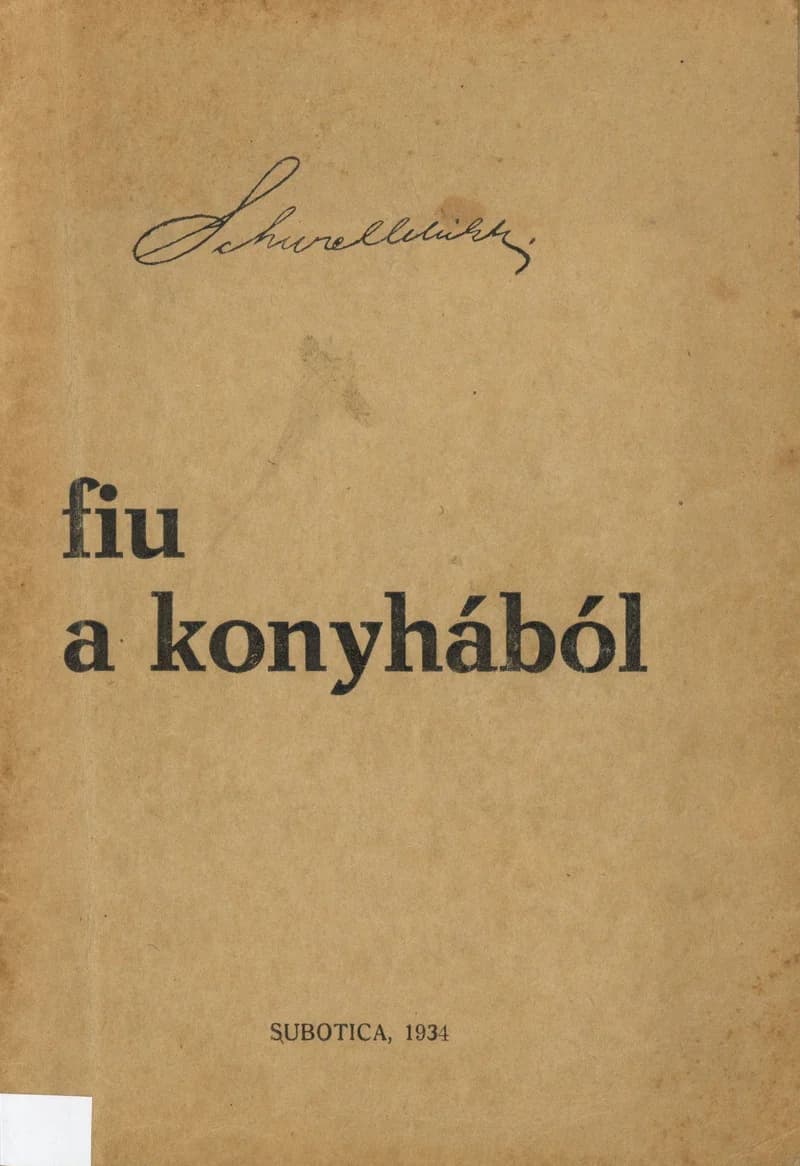 Fiú a konyhából