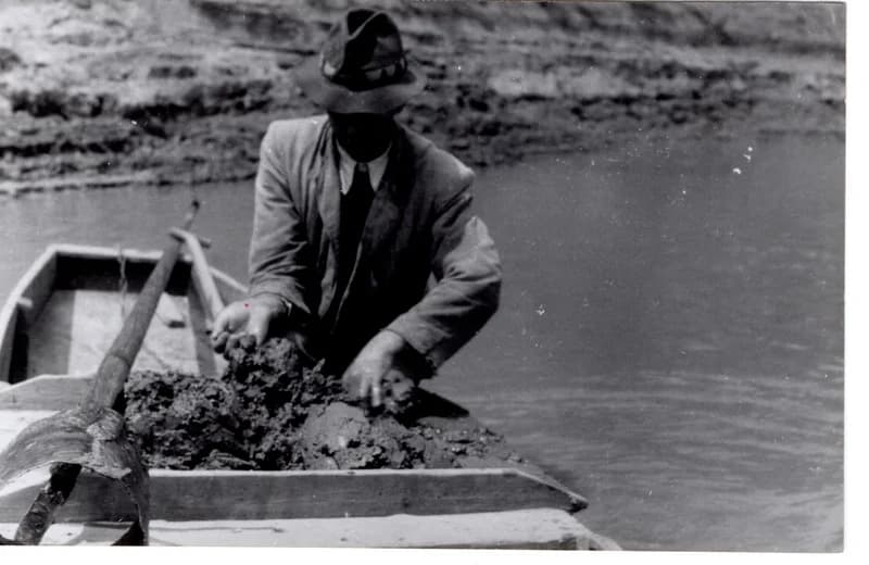 Tiszavirág  gyűjtése