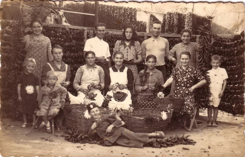 Martonosi paprika 4.