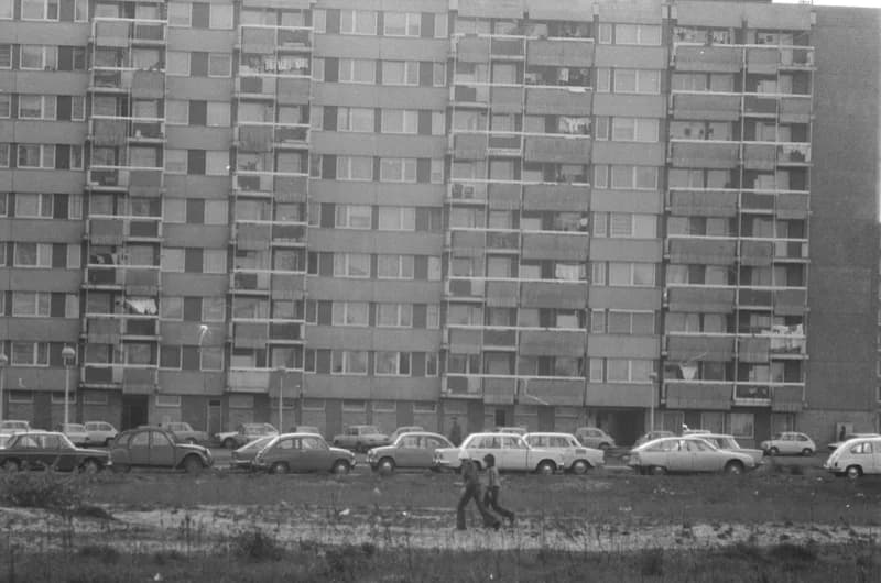 Újvidék, Liman városnegyed