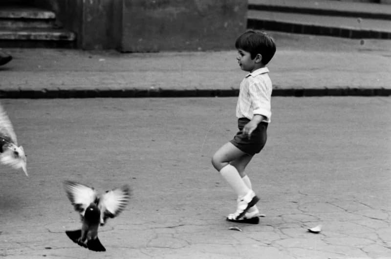 Gyerekek Újvidék utcáin