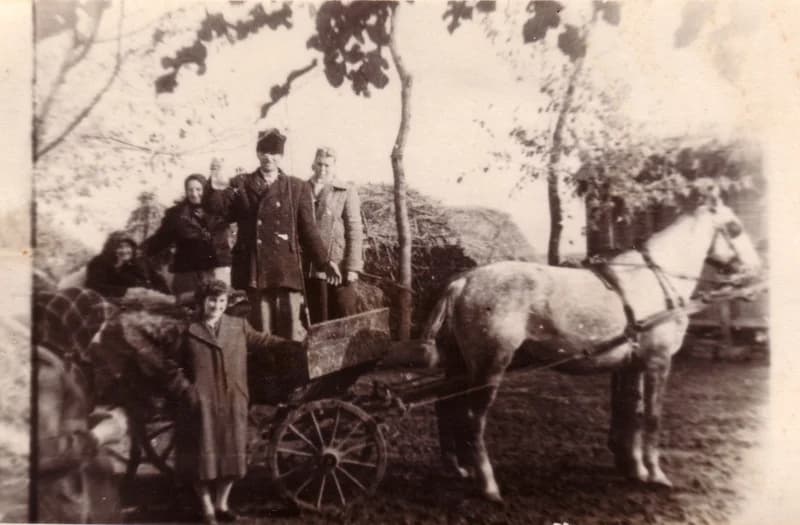 Vendégségben lovaskocsin