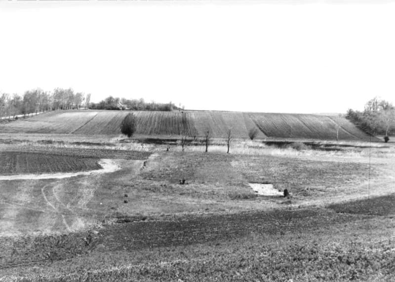 Szántóföldek a zentai határban