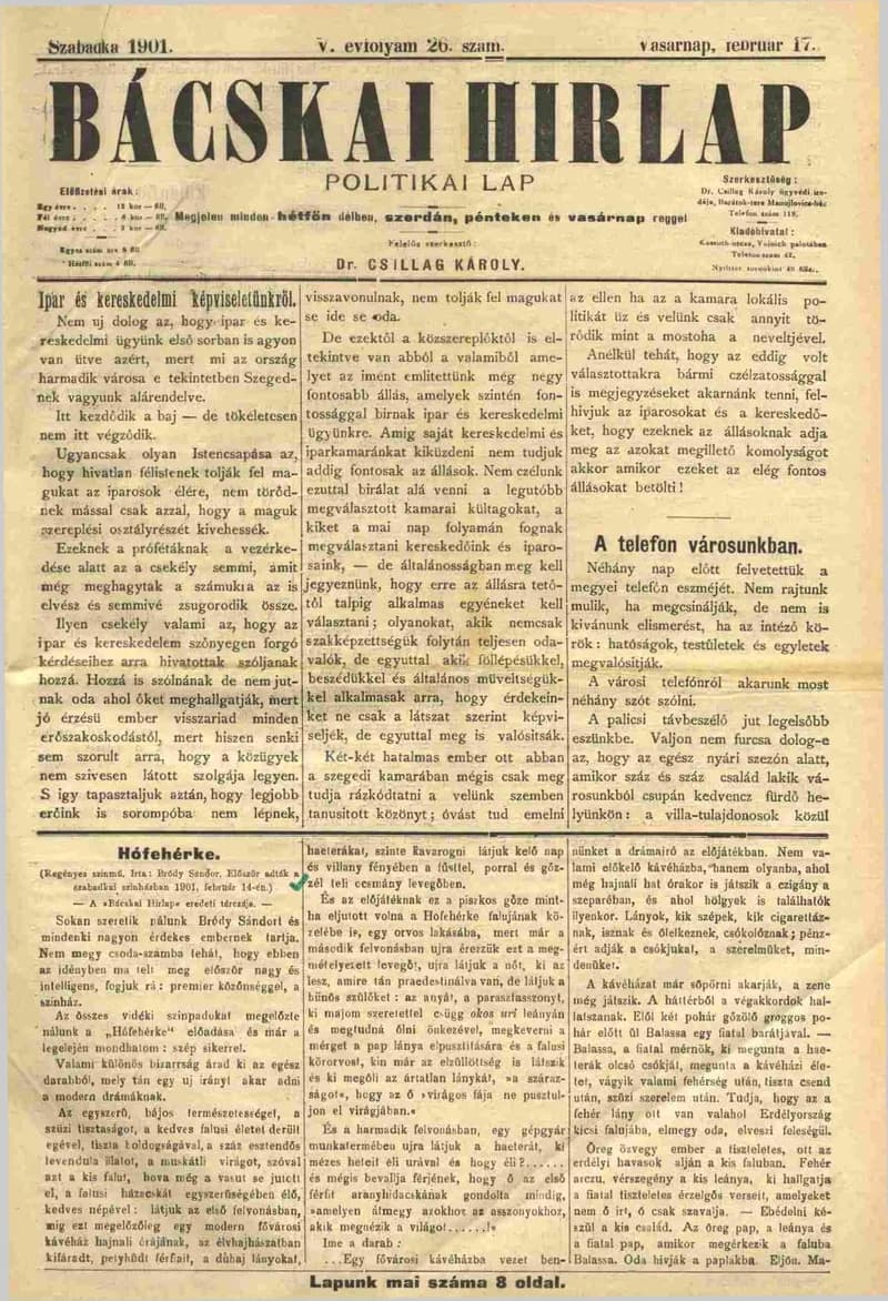 Bácskai Hirlap, 5. évf. 1901. február 17. 26. sz.