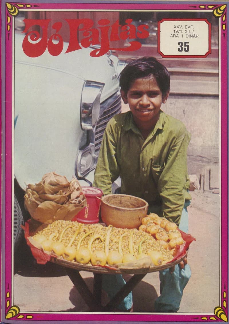 Jó Pajtás, 25. évf. 1971. december 2. 35. sz.