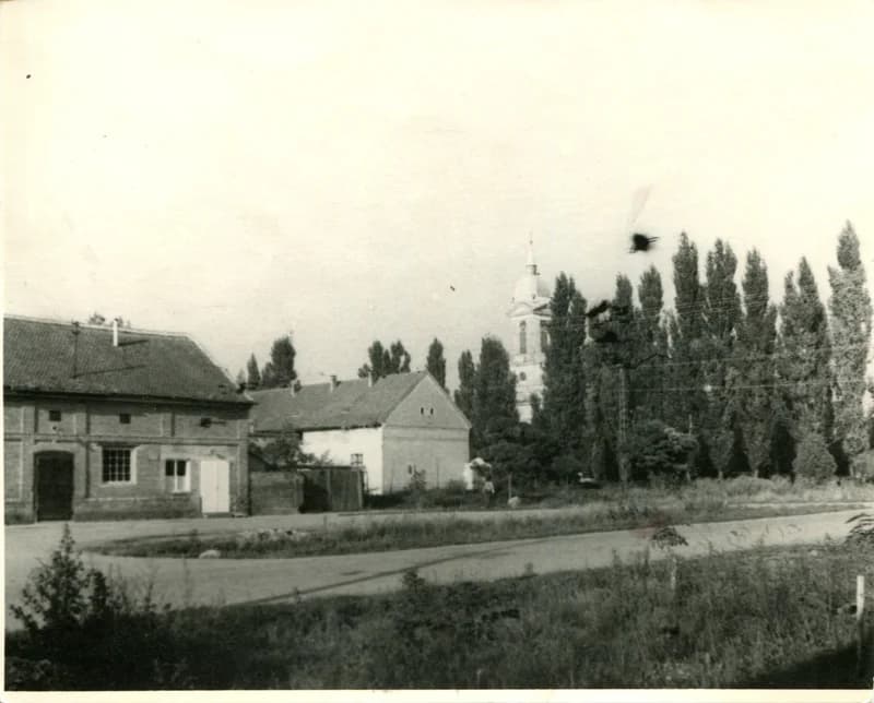 Temerini Kossuth Lajos utca