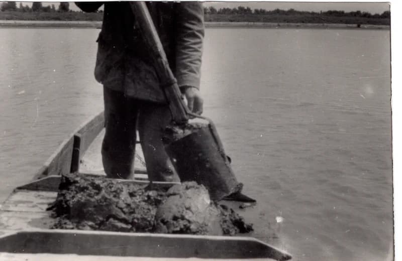 Tiszavirág  gyűjtése