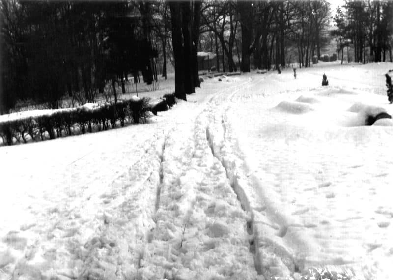 A zentai népkert télen