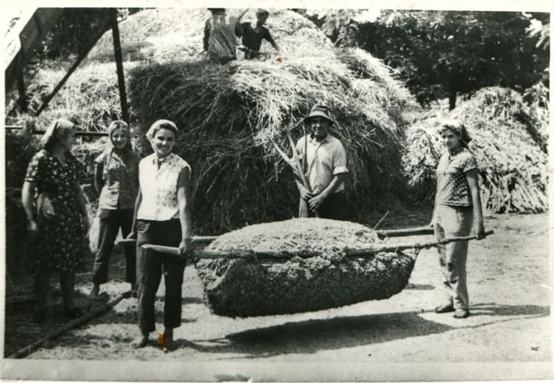 Temerin - pelyvahordás, cséplés