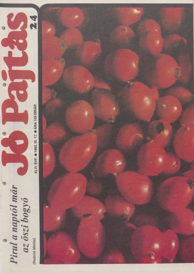 Jó Pajtás, 46. évf. 1992. szeptember 17. 24. sz.