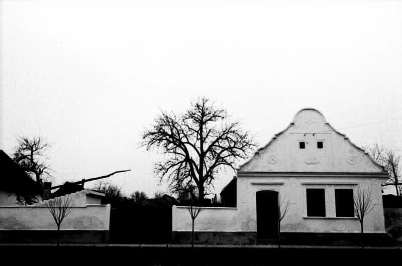 A Bartók Béla Művelődési Egyesületben