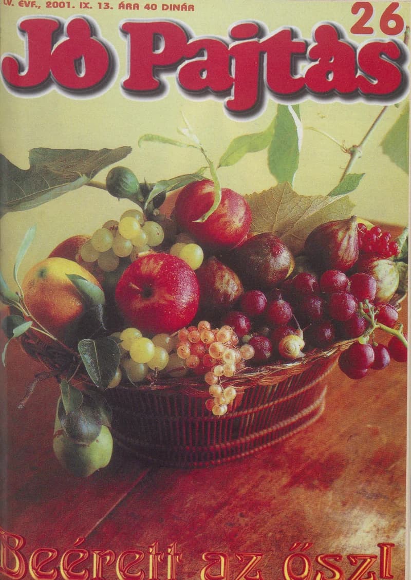 Jó Pajtás, 55. évf. 2001. szeptember 13. 26. sz.