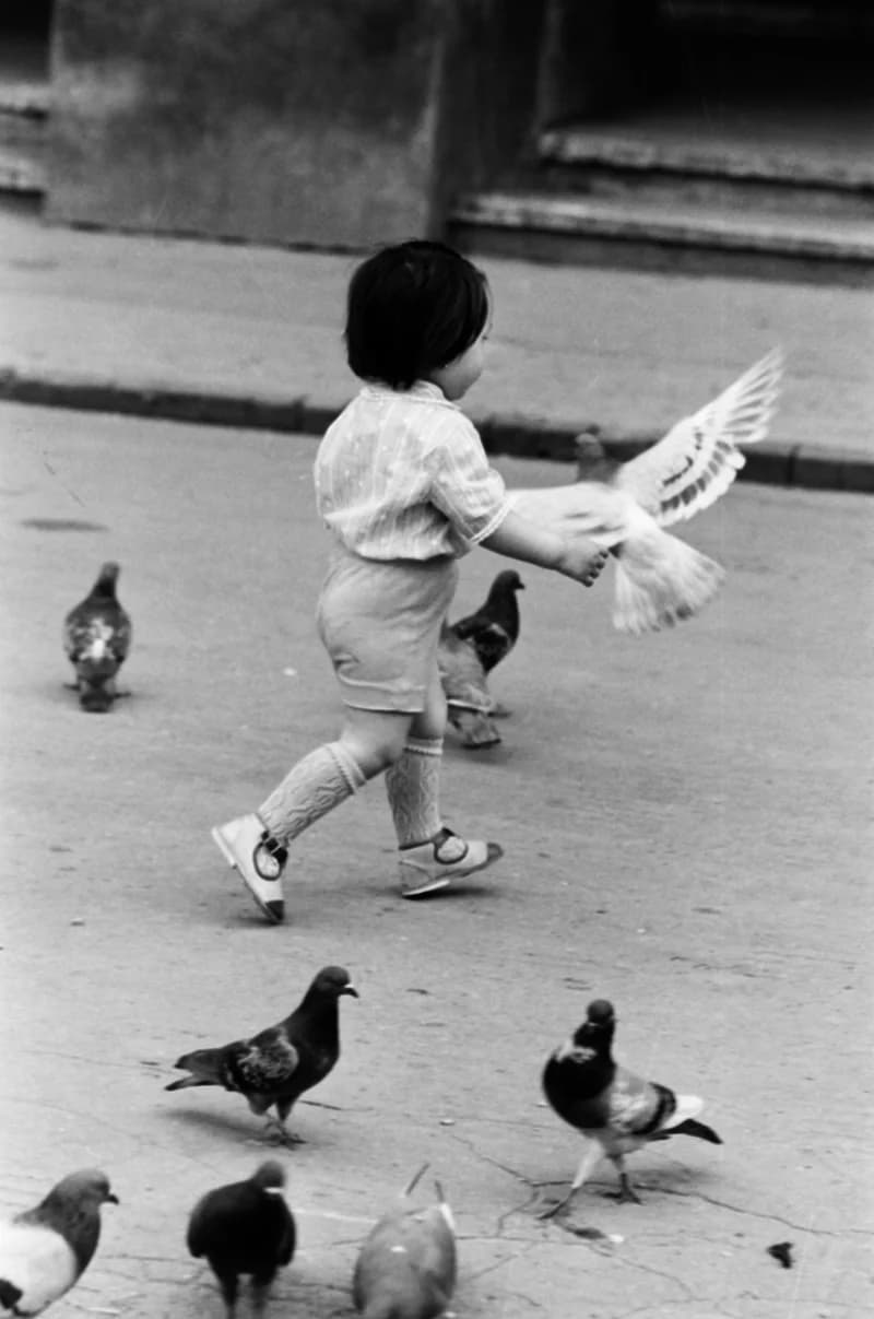 Gyerekek Újvidék utcáin