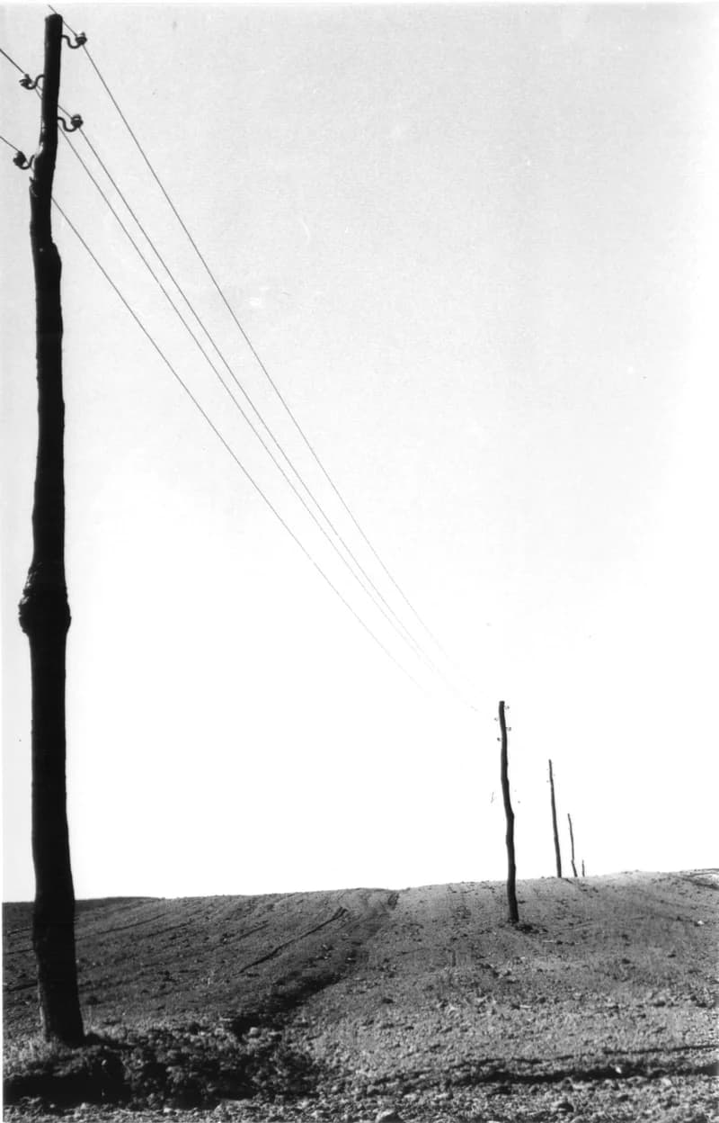 Szántóföldek a zentai határban