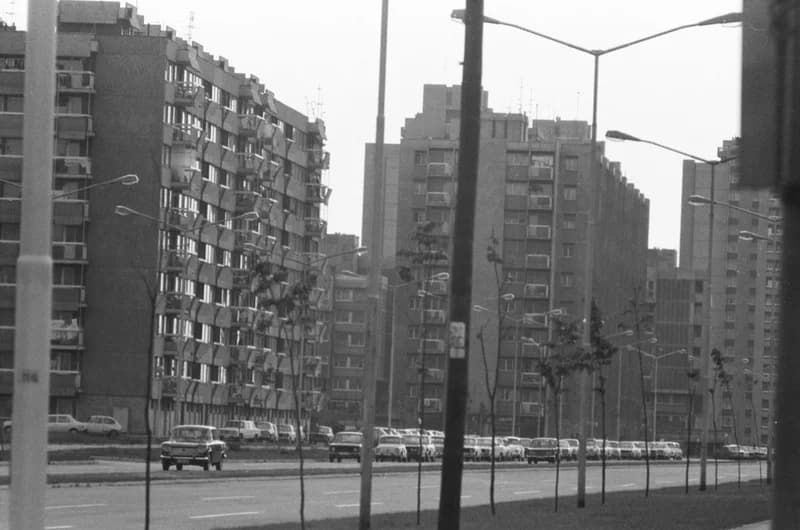 Újvidék, Liman városnegyed