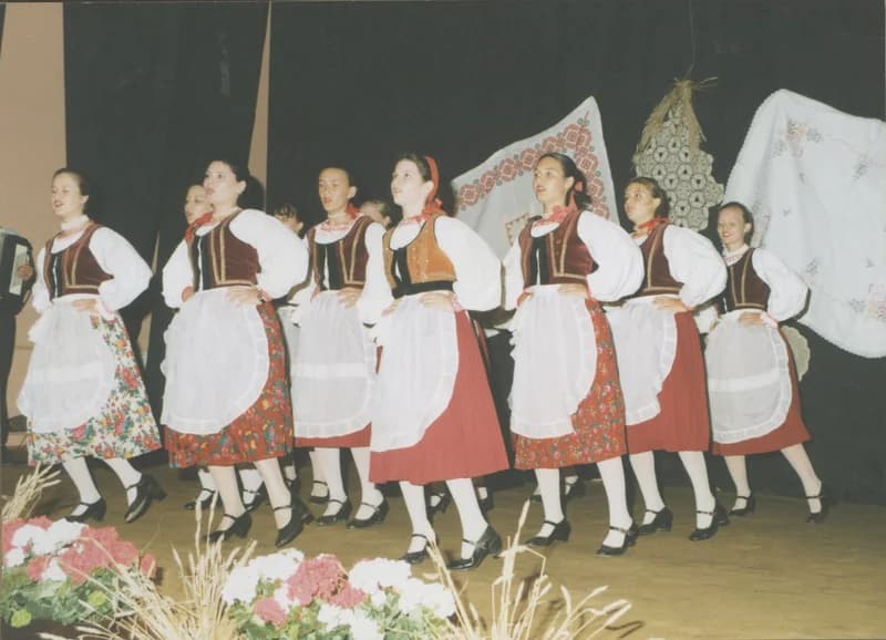 Hertelendyfi Arató Napok - az egyesület tánccsoportja