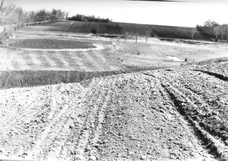 Szántóföldek a zentai határban