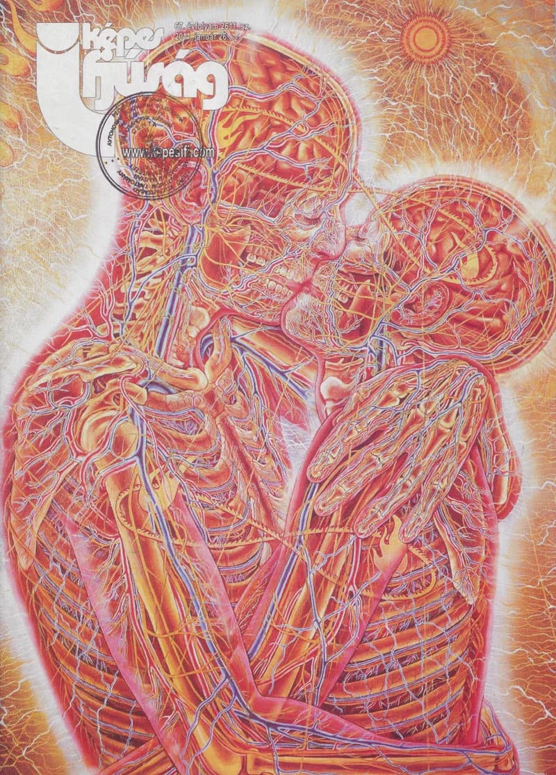 Képes Ifjúság, 67. évf. 2011. január 26. 2611. sz.