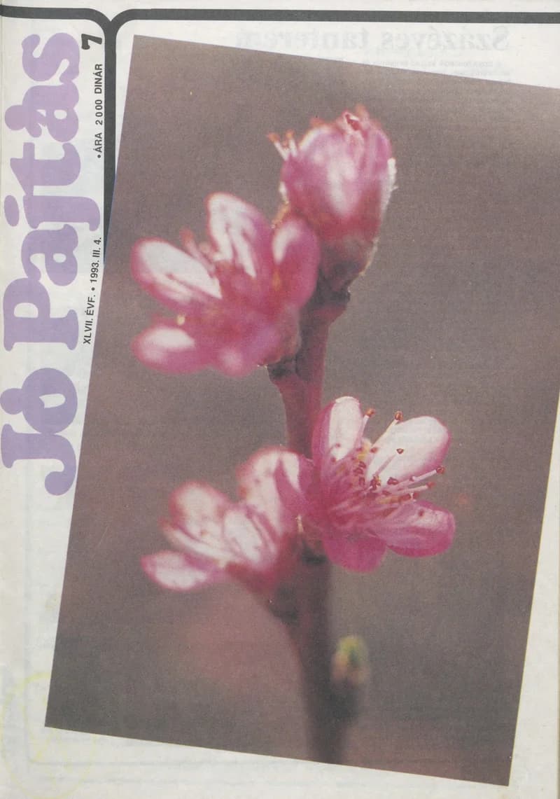 Jó Pajtás, 47. évf. 1993. március 4. 7. sz.