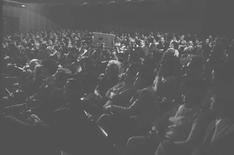 Oj Dunave, Dunave plavi