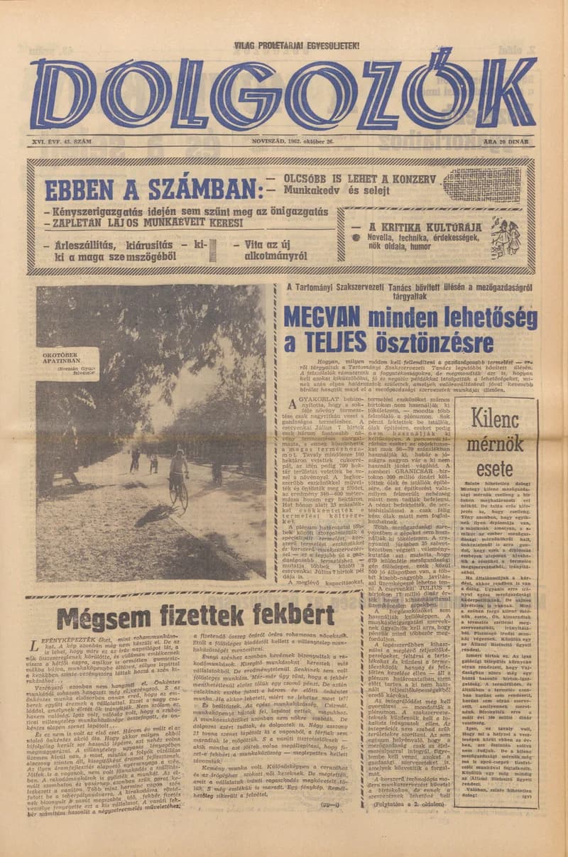 Dolgozók, 16. évf. 1962. október 26. 43. sz.