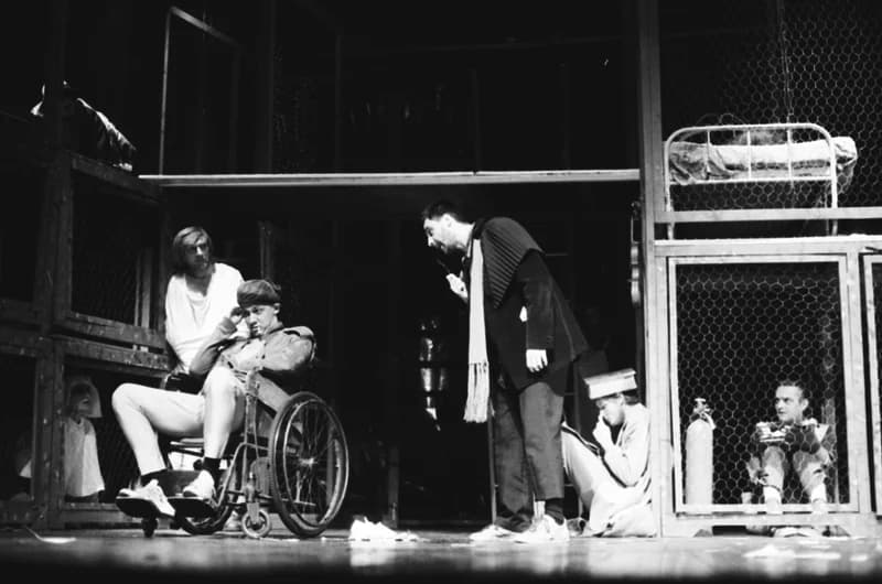 Tömöry Péter (r.), Tolnai Ottó: Paripacitrom 