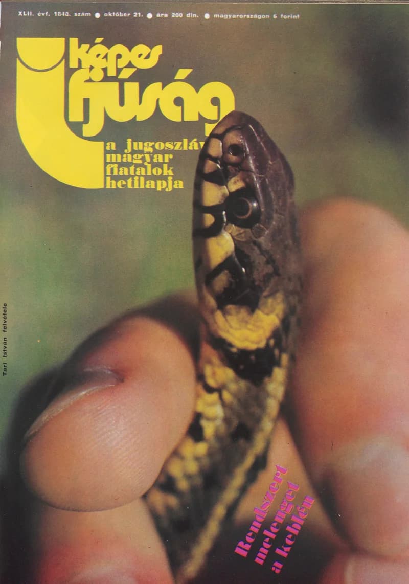 Képes Ifjúság, 43. évf. 1987. október 21. 1848. sz.