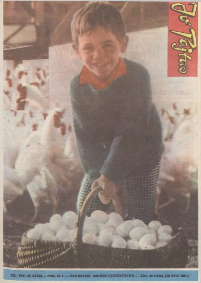 Jó Pajtás, 20. évf. 1966. november 3. 30. sz.