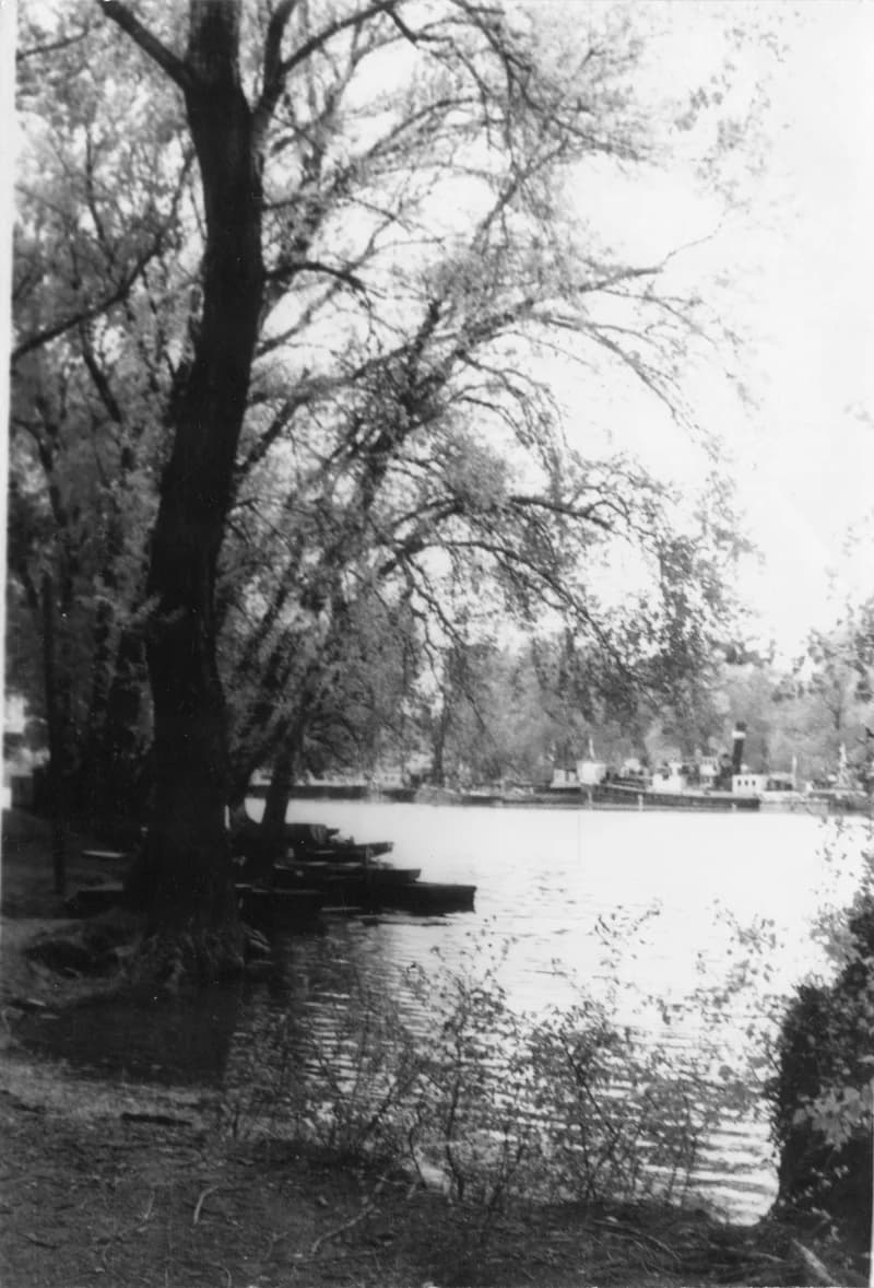 Újvidéki Horgász sziget