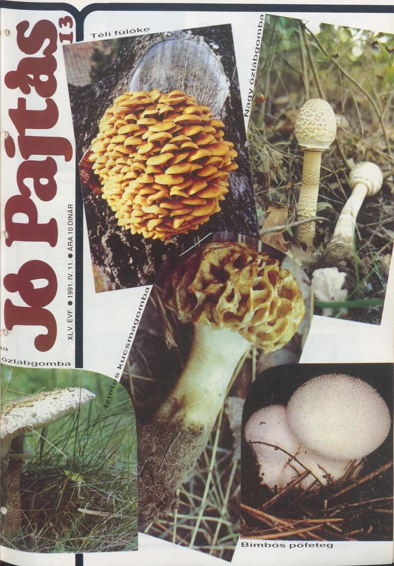 Jó Pajtás, 45. évf. 1991. április 11. 13. sz.