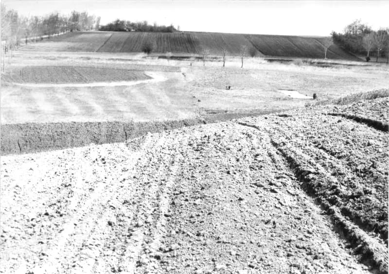 Szántóföldek a zentai határban