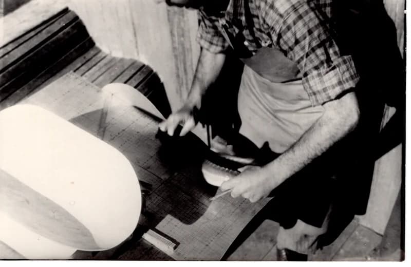 Halászszövetségi tevékenység -  kecsegemérés