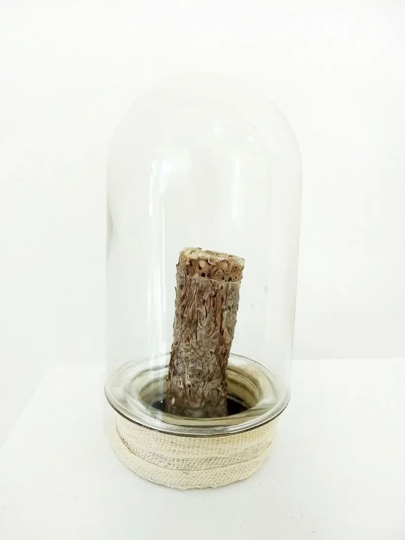 GAIA CIKLUSAI  sorozatból 6.