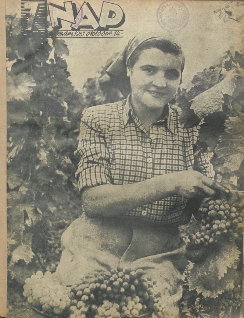 7 Nap, 6. évf. 1951. október 14. 41. sz.