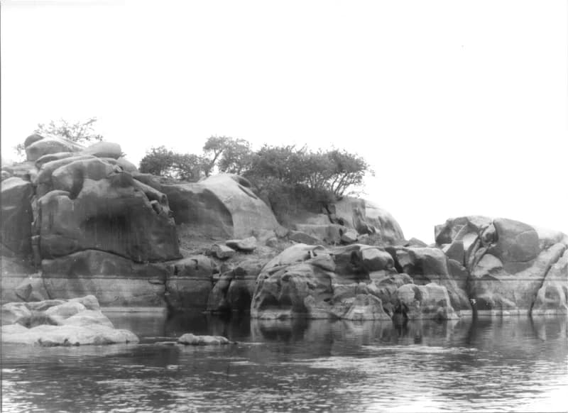 A Fehér család Egyiptomban