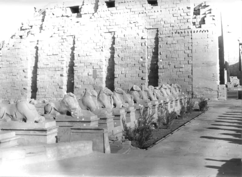 A Fehér család Egyiptomban