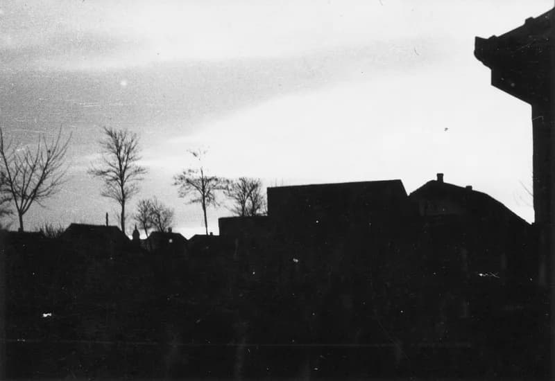 Temerin esti fényben